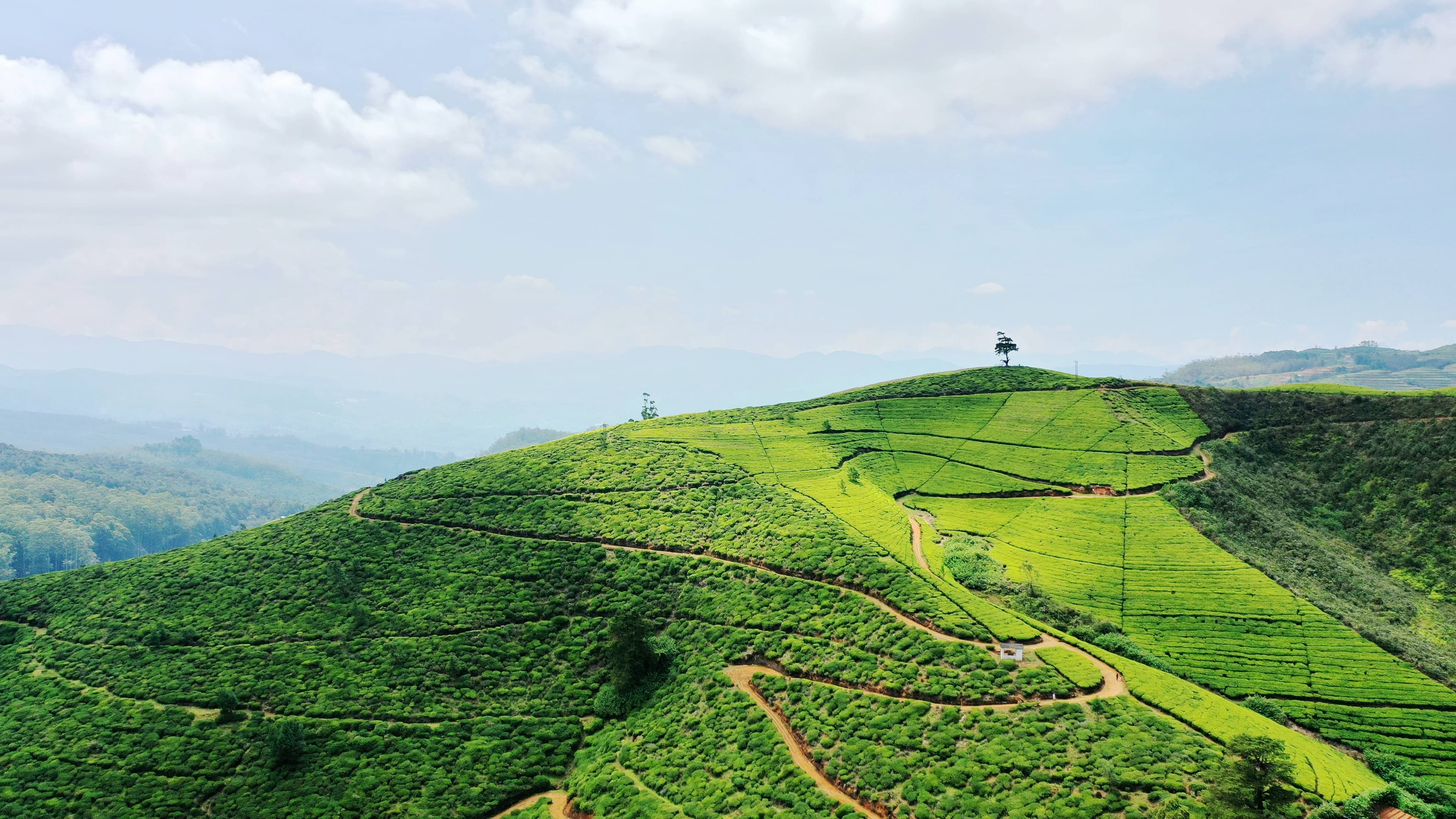 Why Nuwara Eliya Steals the Spotlight on Your Sri Lanka Trip